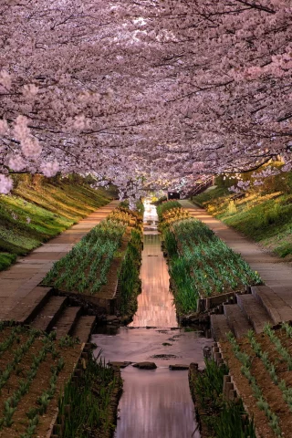 kanagawa prefecture, japan, парк, yokohama-shi, город