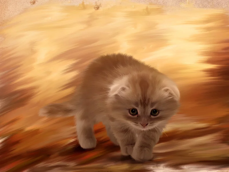 cat, котенок, пушистый, живопись