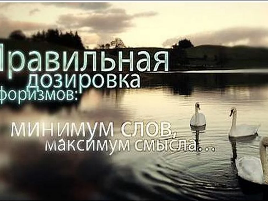 фразы, афоризмы, высказывания