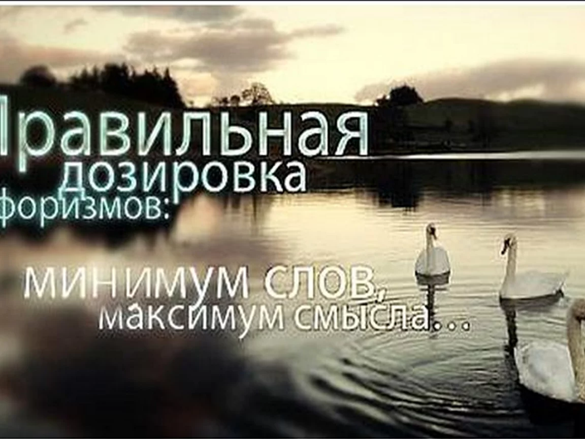 фразы, афоризмы, высказывания