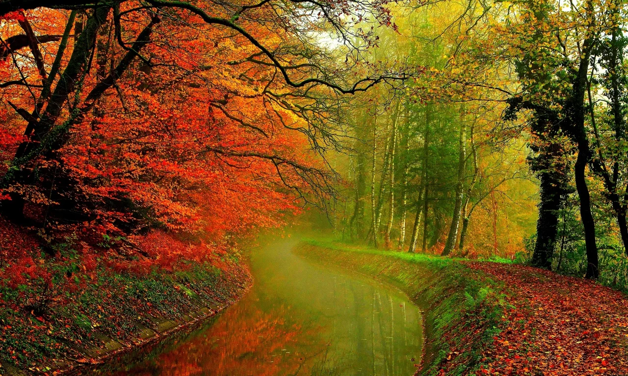 hdr, деревья, river, leaves, autumn, water, листья, trees, forest, walk, nature