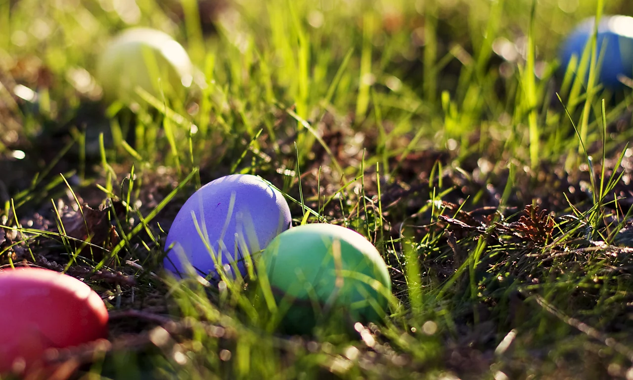 яйца, easter, grass, eggs, пасха, весна, spring, colored, трава