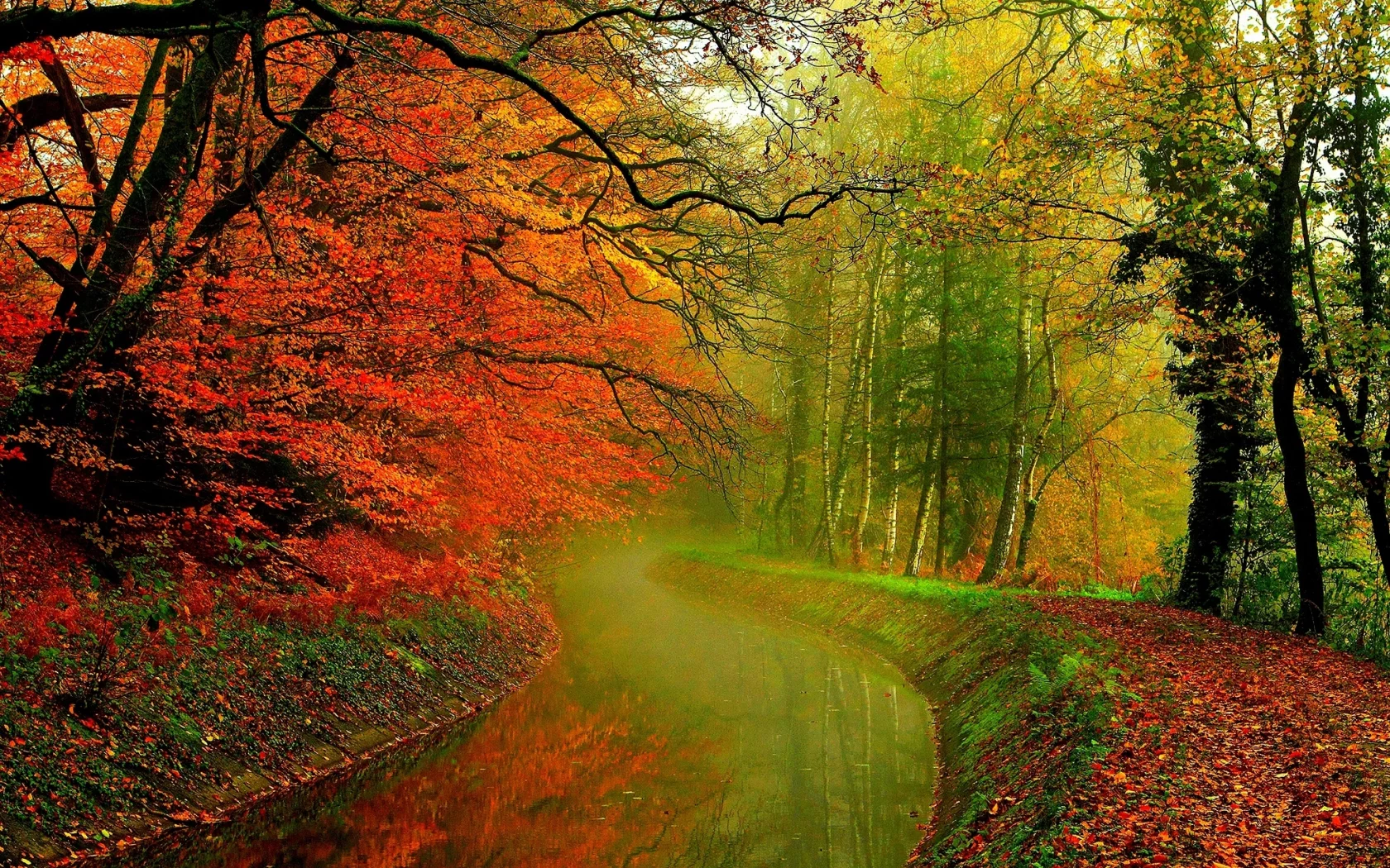hdr, деревья, river, leaves, autumn, water, листья, trees, forest, walk, nature
