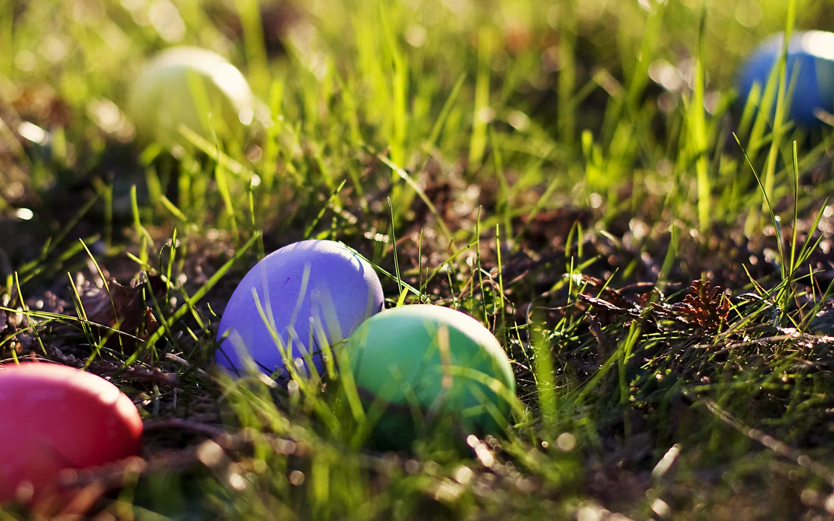 яйца, easter, grass, eggs, пасха, весна, spring, colored, трава