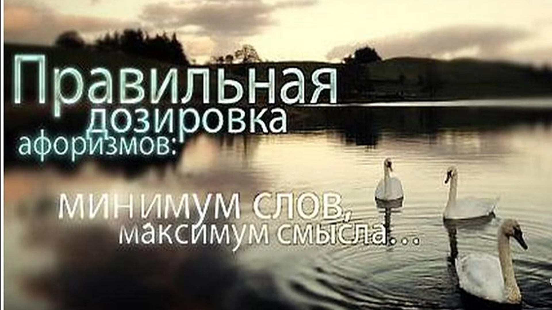 фразы, афоризмы, высказывания