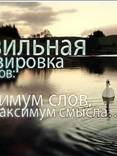 фразы, афоризмы, высказывания