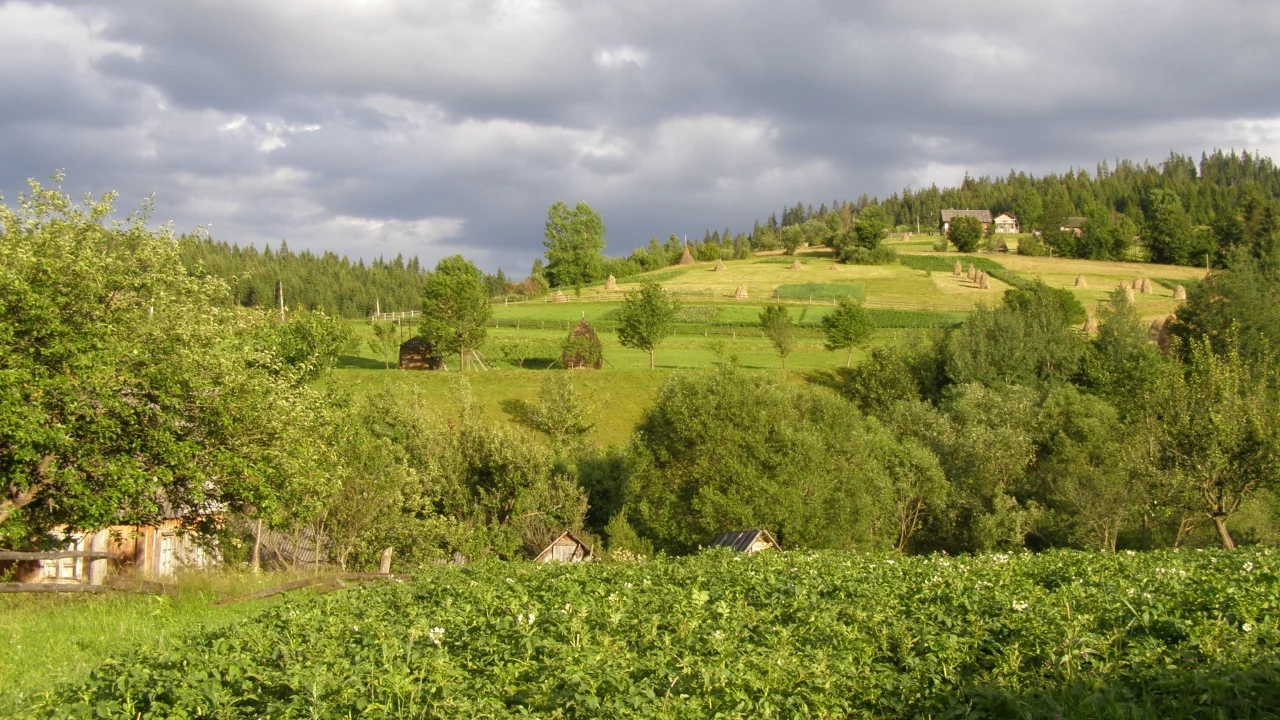 село, горы, лес, луг, облака, огород, стог, сено