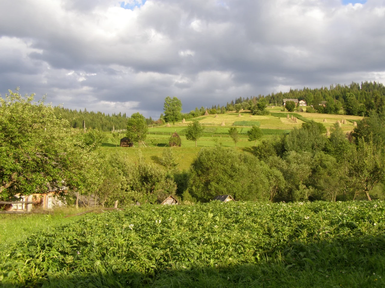 село, горы, лес, луг, облака, огород, стог, сено