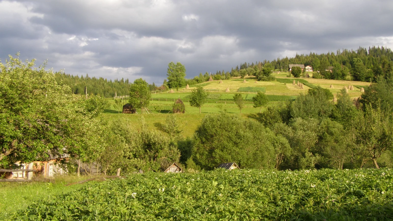 село, горы, лес, луг, облака, огород, стог, сено