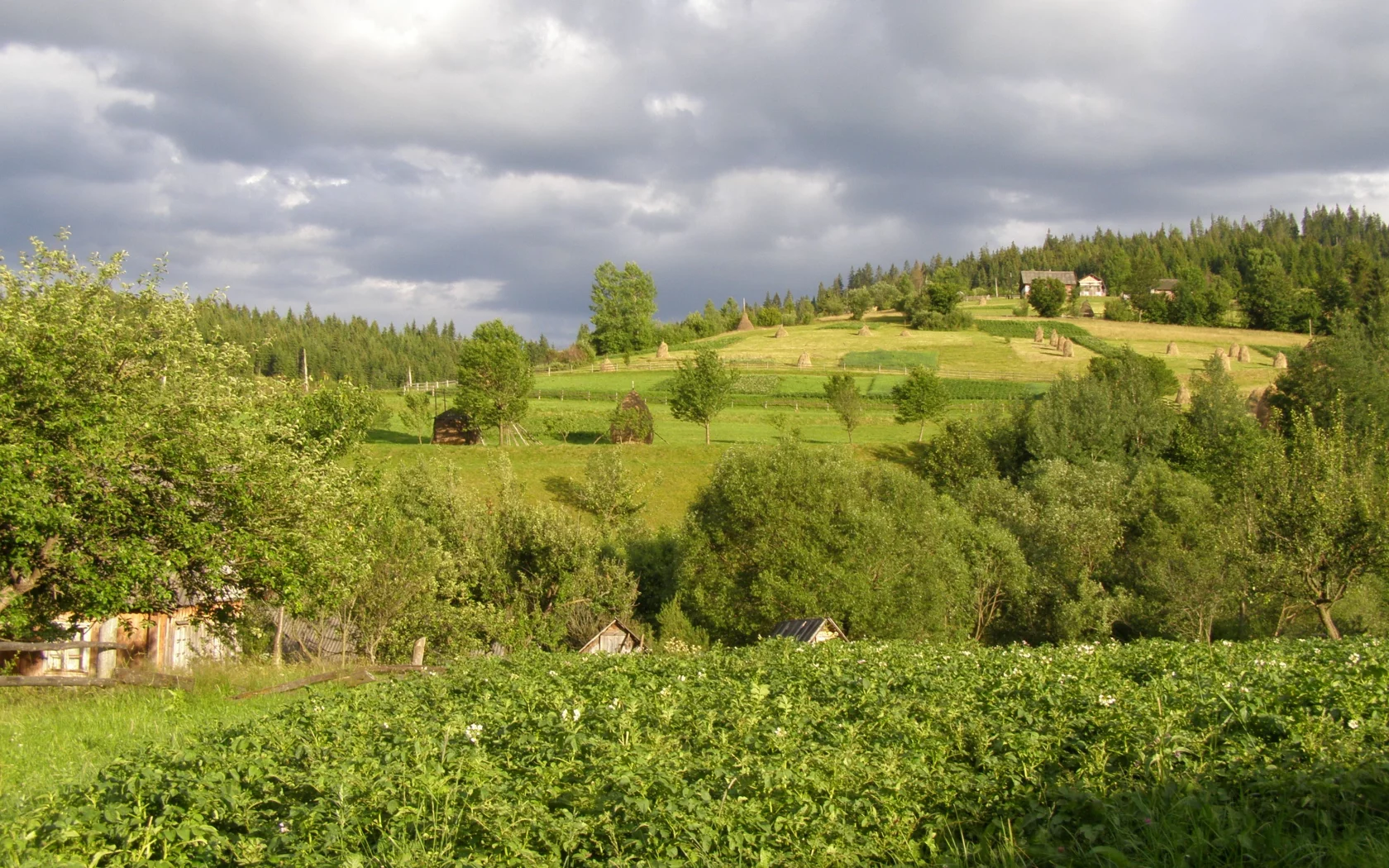 село, горы, лес, луг, облака, огород, стог, сено
