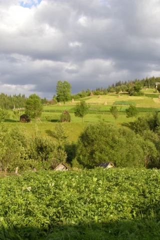 село, горы, лес, луг, облака, огород, стог, сено