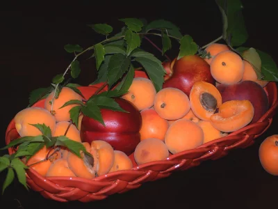 персики, корзинка