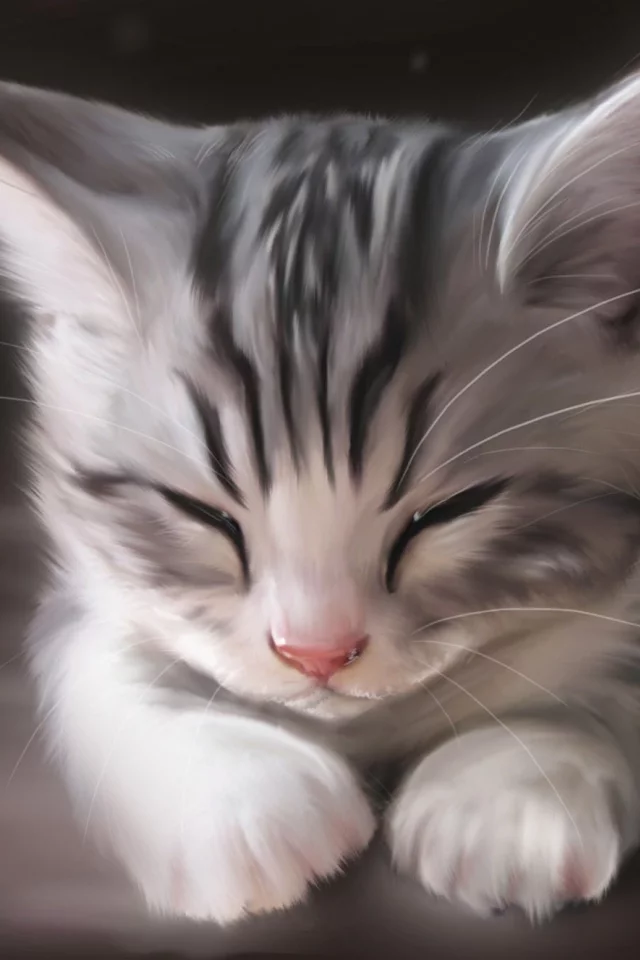кошка, рисунок, арт, спит, котенок, морда, кот