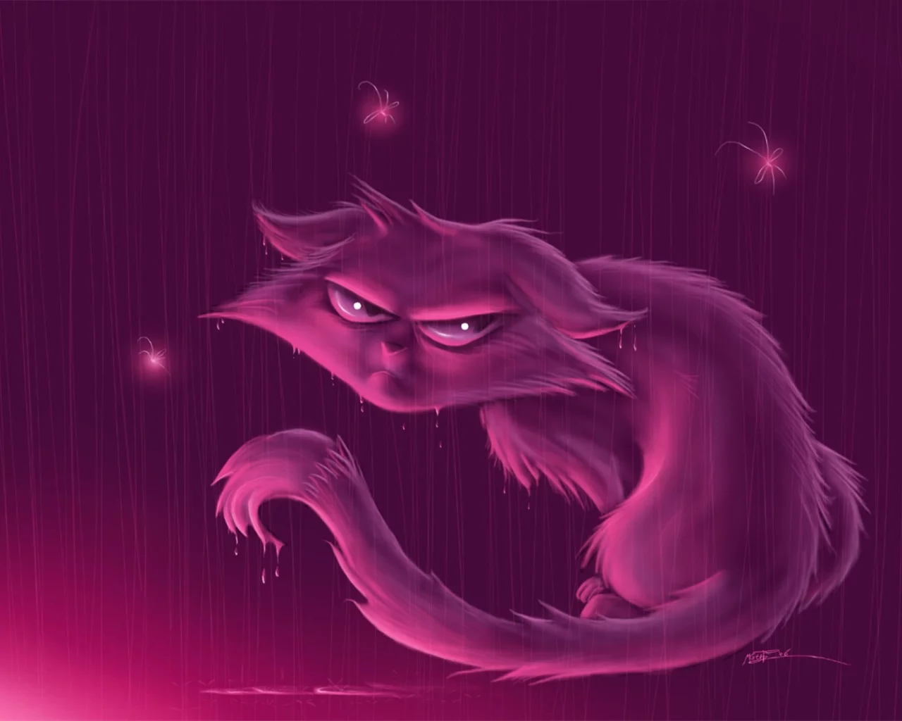 кот, дождь, взгляд