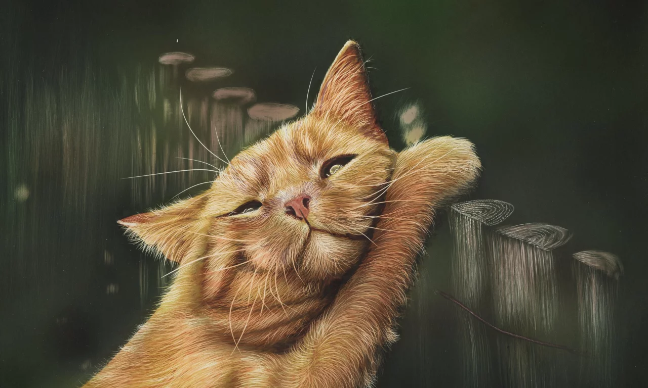 рисунок, забор, by shonechacko, кот