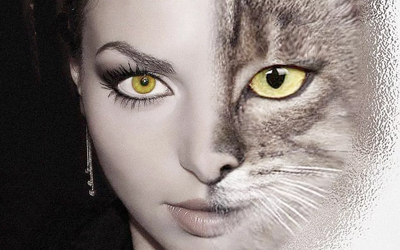 девушка, кошка