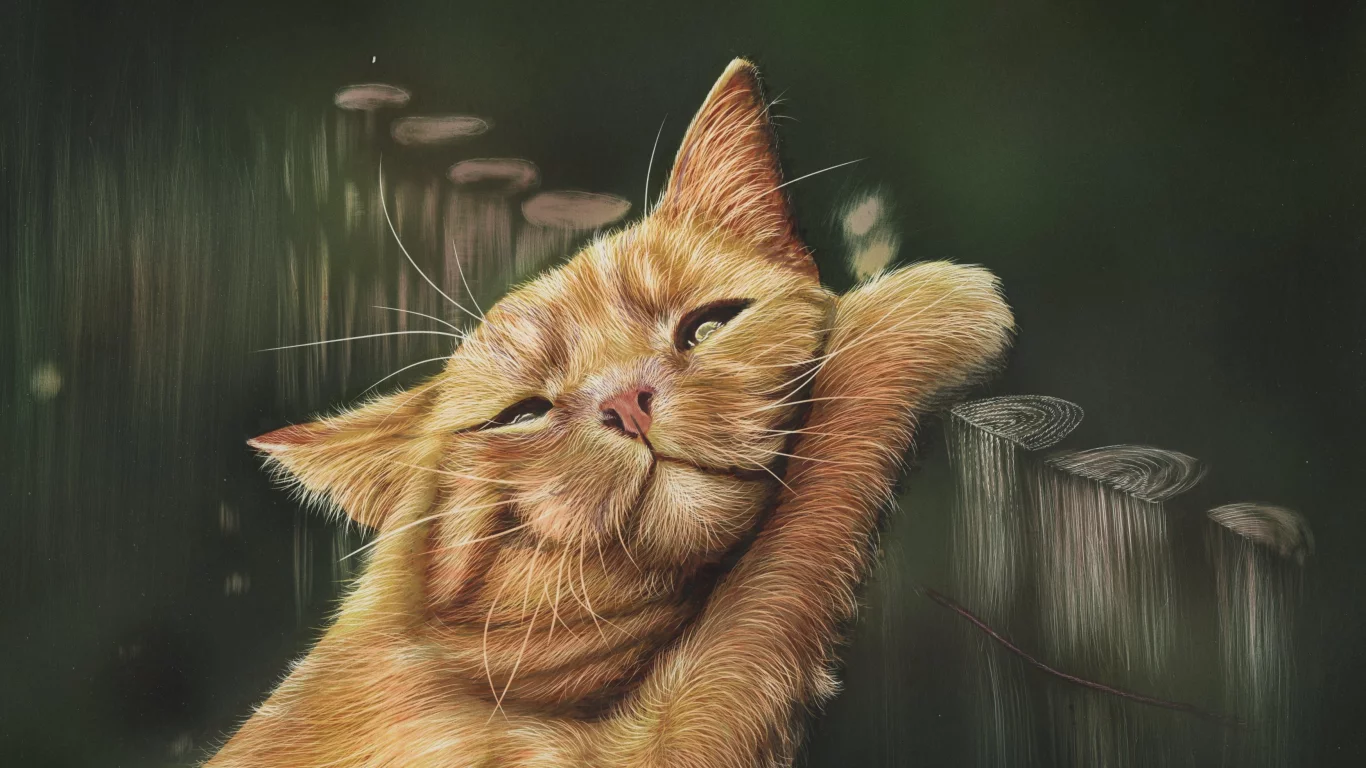 рисунок, забор, by shonechacko, кот