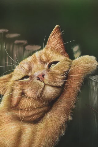 рисунок, забор, by shonechacko, кот