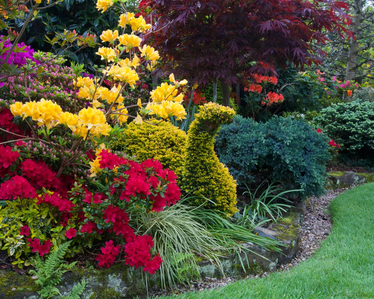 англия, парки, рододендрон, walsall garden, дизайн, кусты, природа