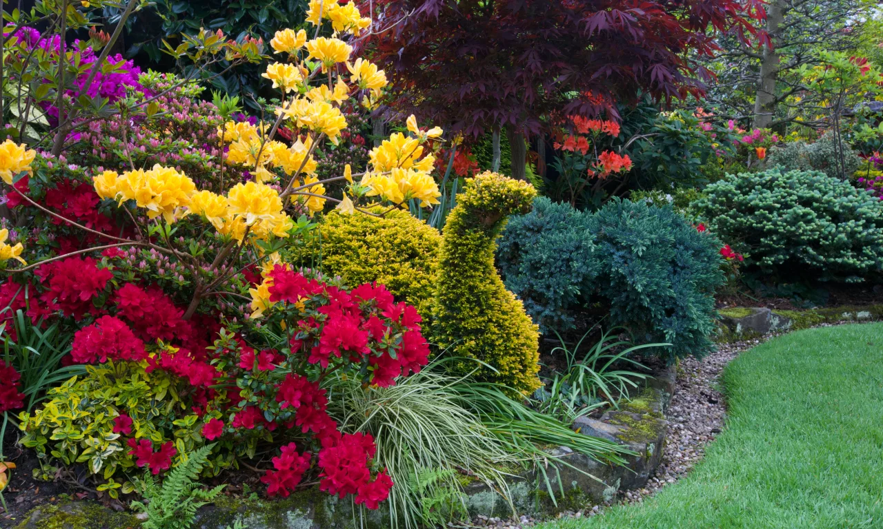 англия, парки, рододендрон, walsall garden, дизайн, кусты, природа