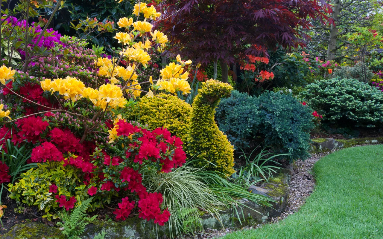 англия, парки, рододендрон, walsall garden, дизайн, кусты, природа