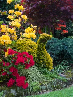 англия, парки, рододендрон, walsall garden, дизайн, кусты, природа