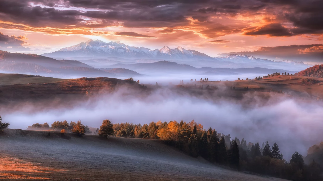 горы, осень, арпаты, утро, туман