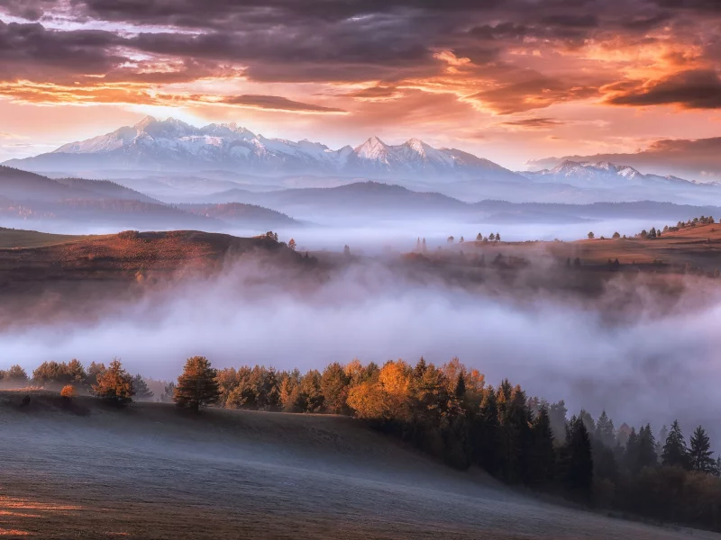 горы, осень, арпаты, утро, туман