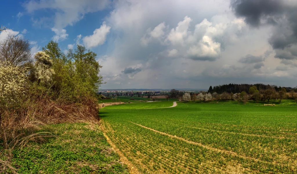 природа, красота