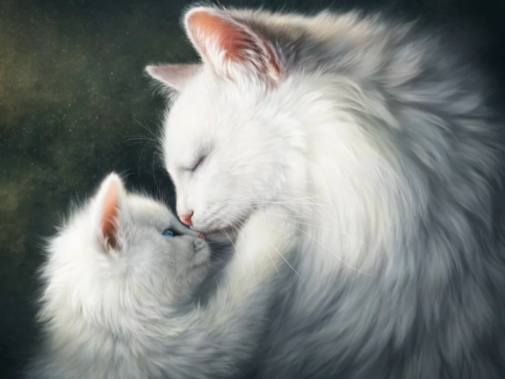 глаза, взгляд, котейка, коты