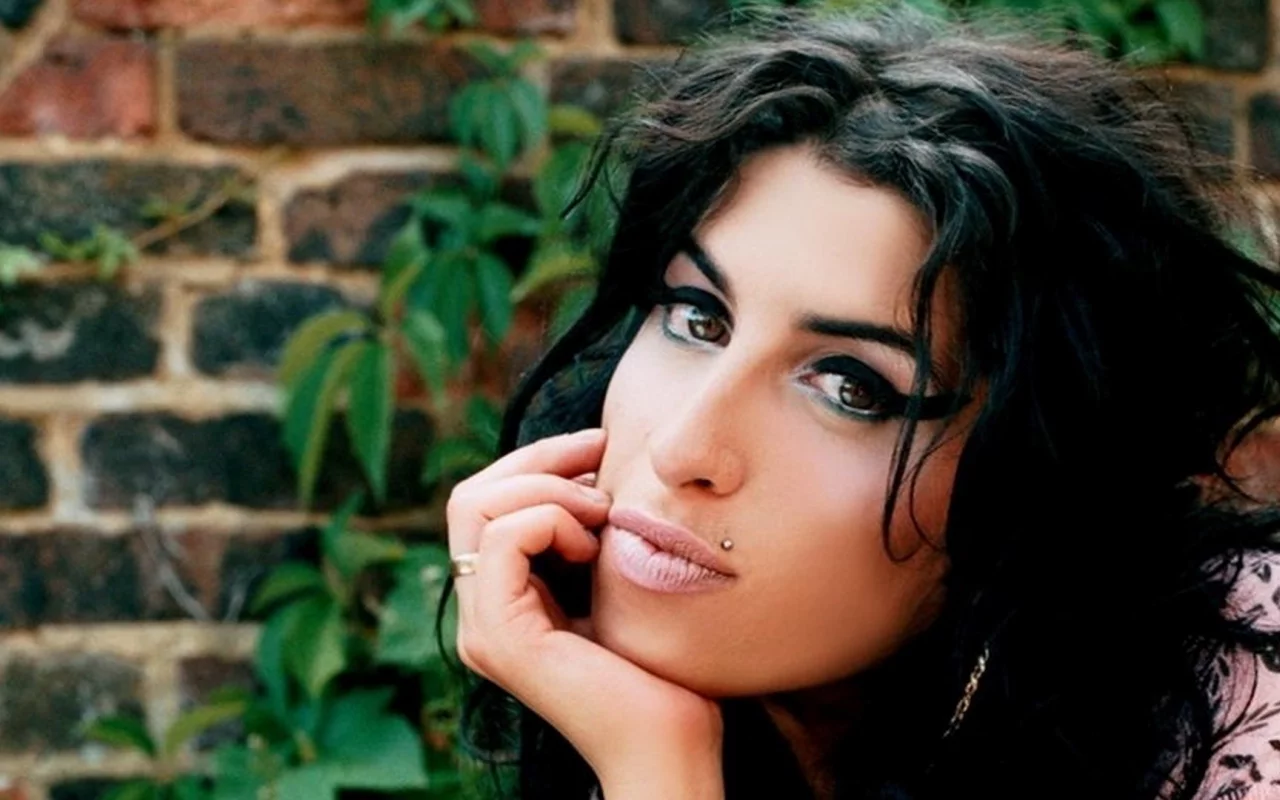 amy winehouse, певица, девушка, рок певица, волосы, брюнетка, взгляд, поза