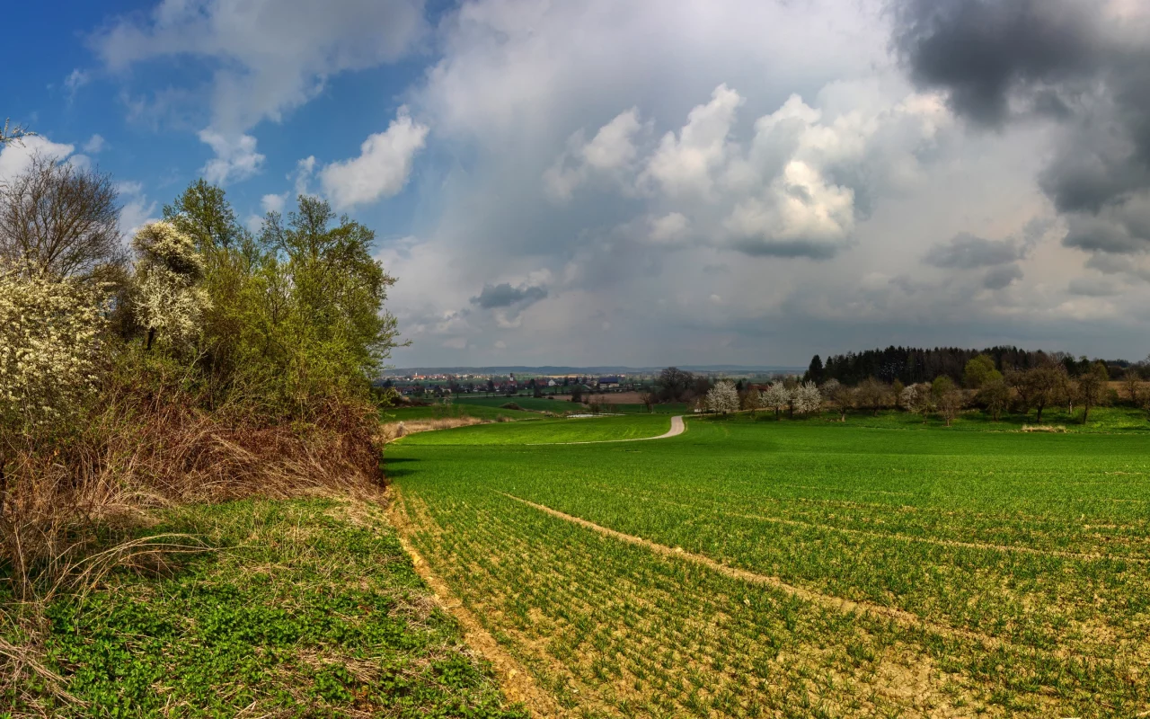 природа, красота