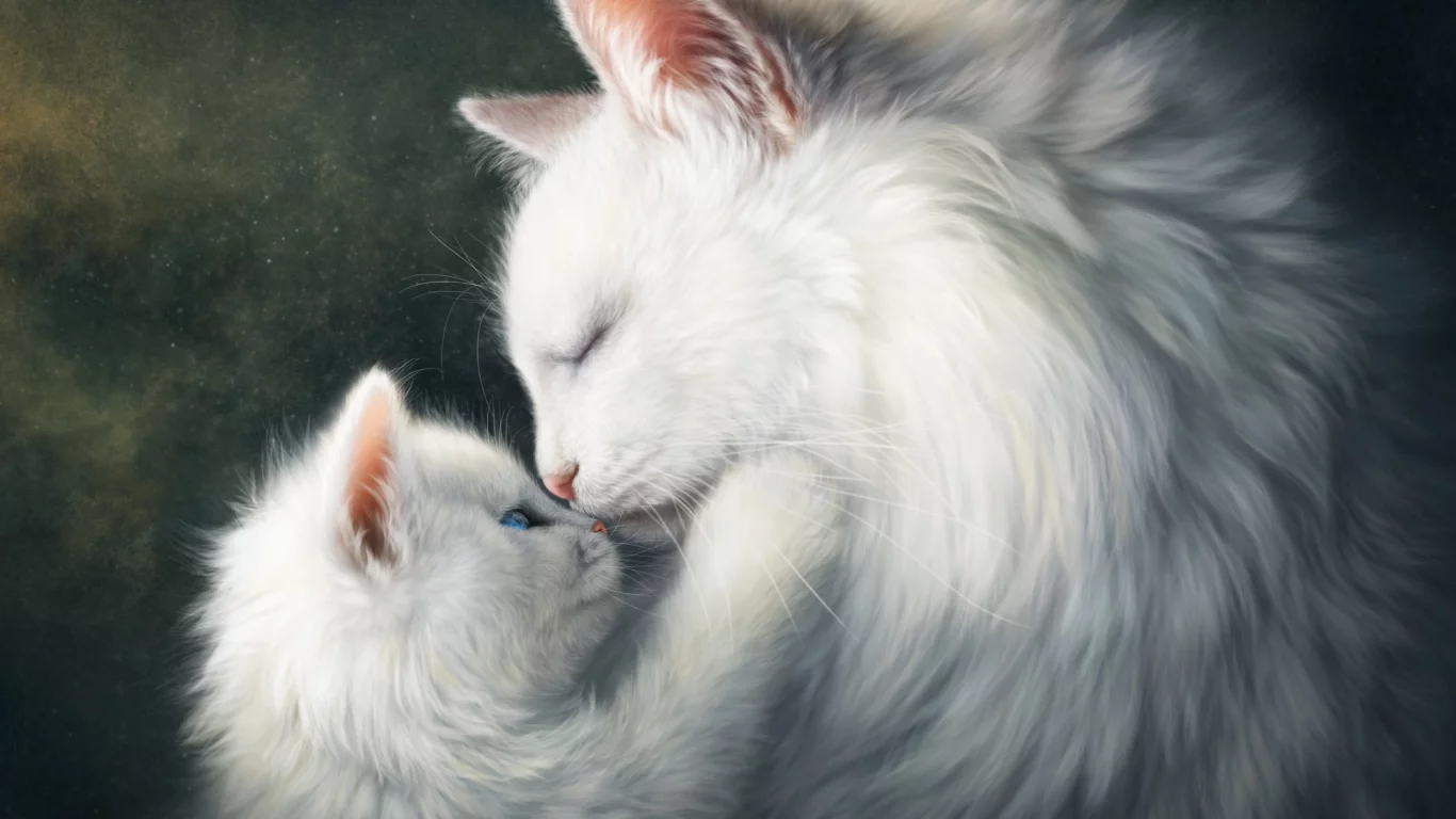 глаза, взгляд, котейка, коты