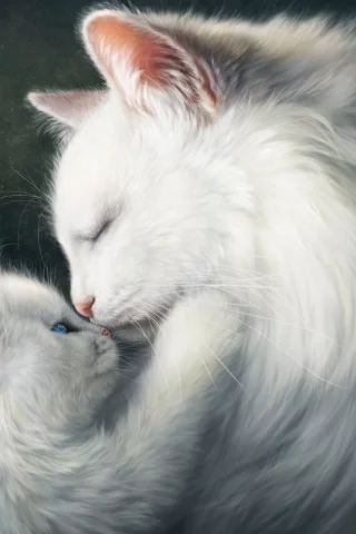 глаза, взгляд, котейка, коты
