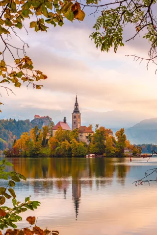 осень, ветки, листва