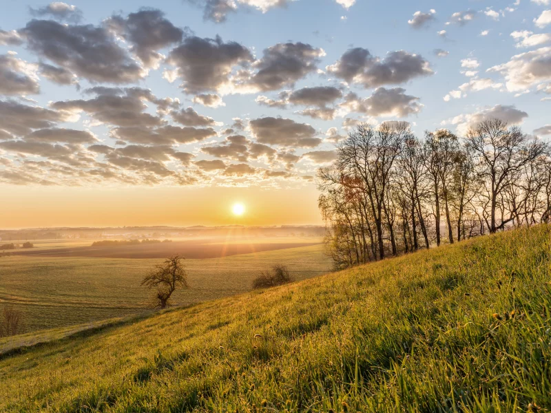 природа, красота