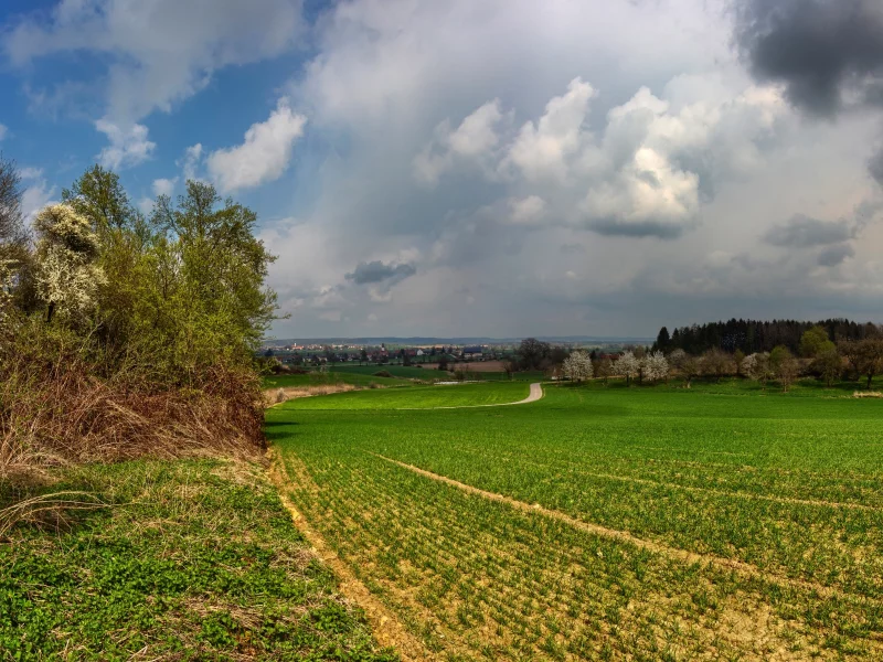 природа, красота