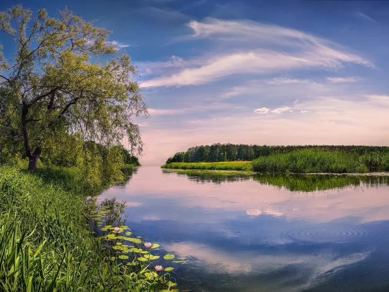 озеро, весна