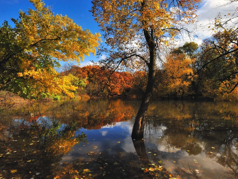 природа, осень, красиво, вода