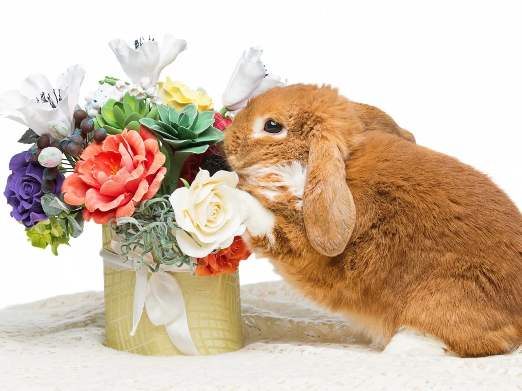 rabbit, happy, кролик, eggs, spring, flowers, цветы