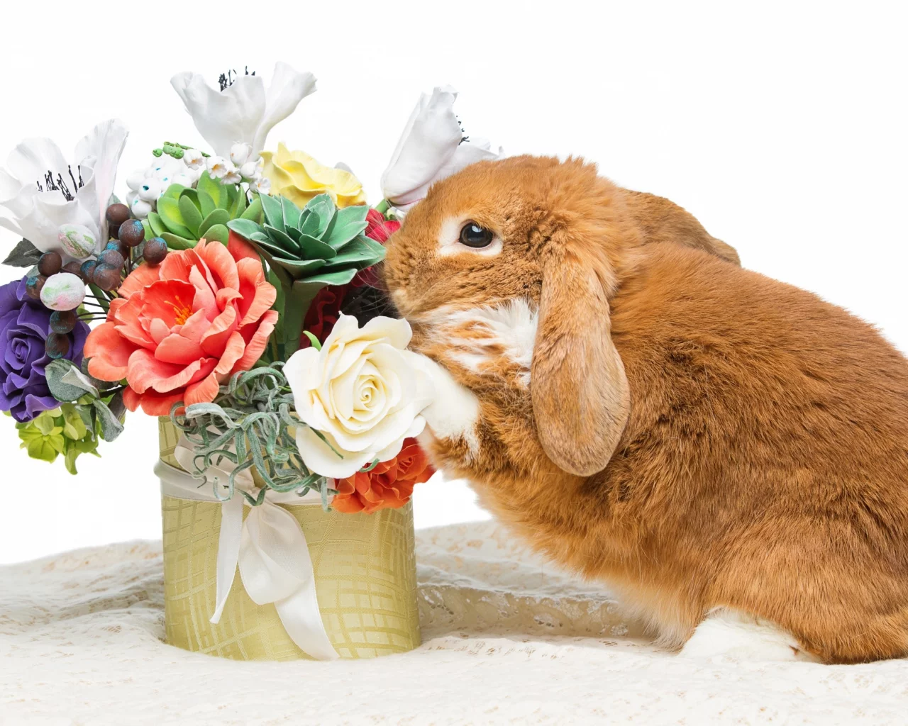 rabbit, happy, кролик, eggs, spring, flowers, цветы
