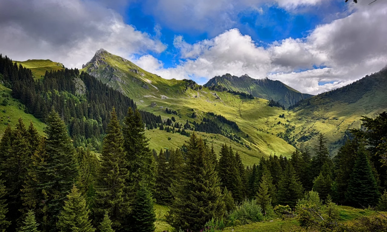 леса, долина, облака, деревья