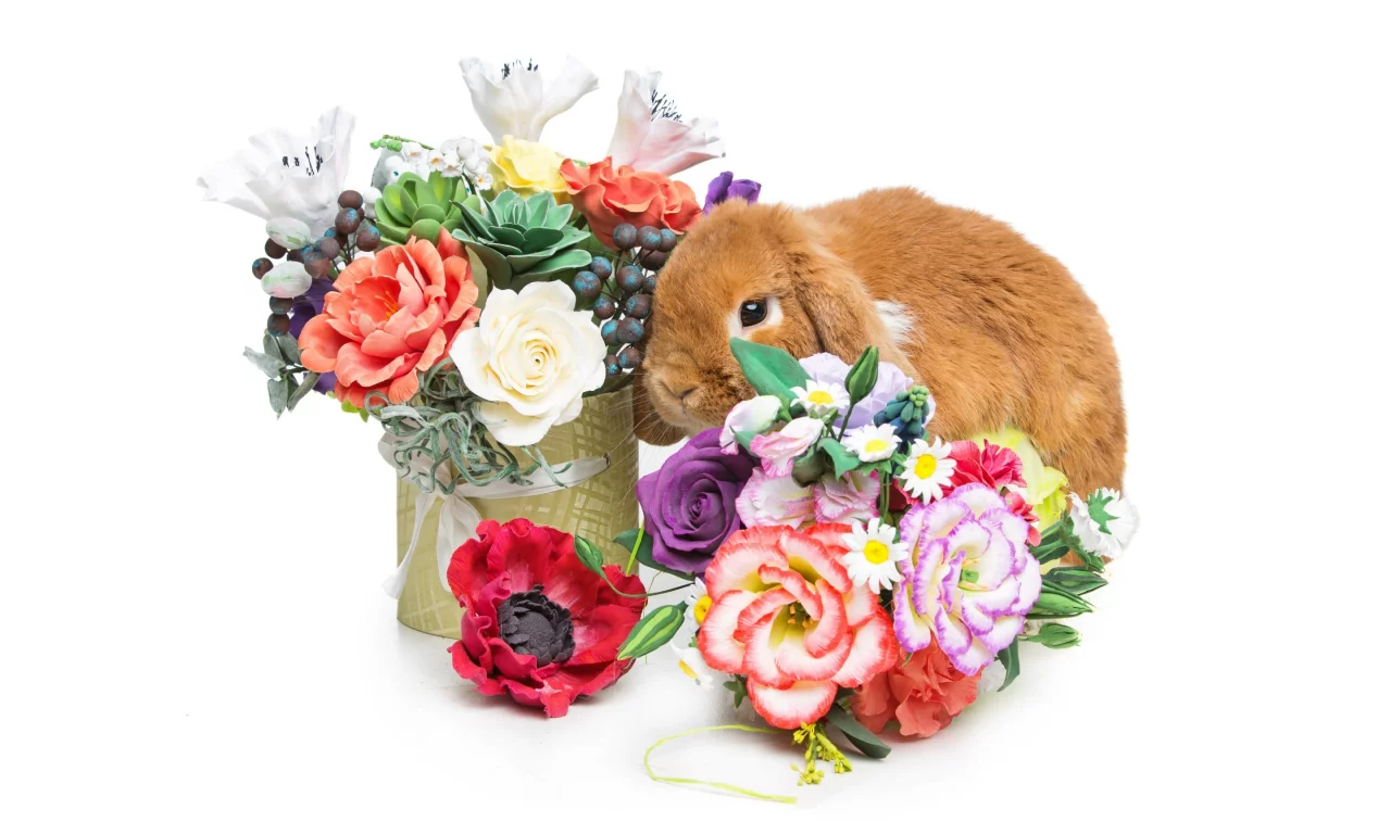 rabbit, happy, кролик, eggs, spring, flowers, цветы