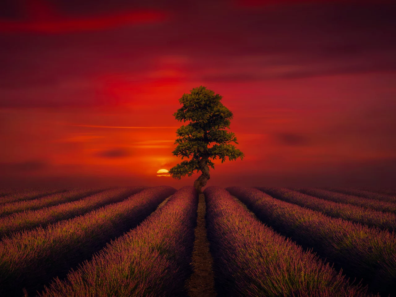 природа, красота