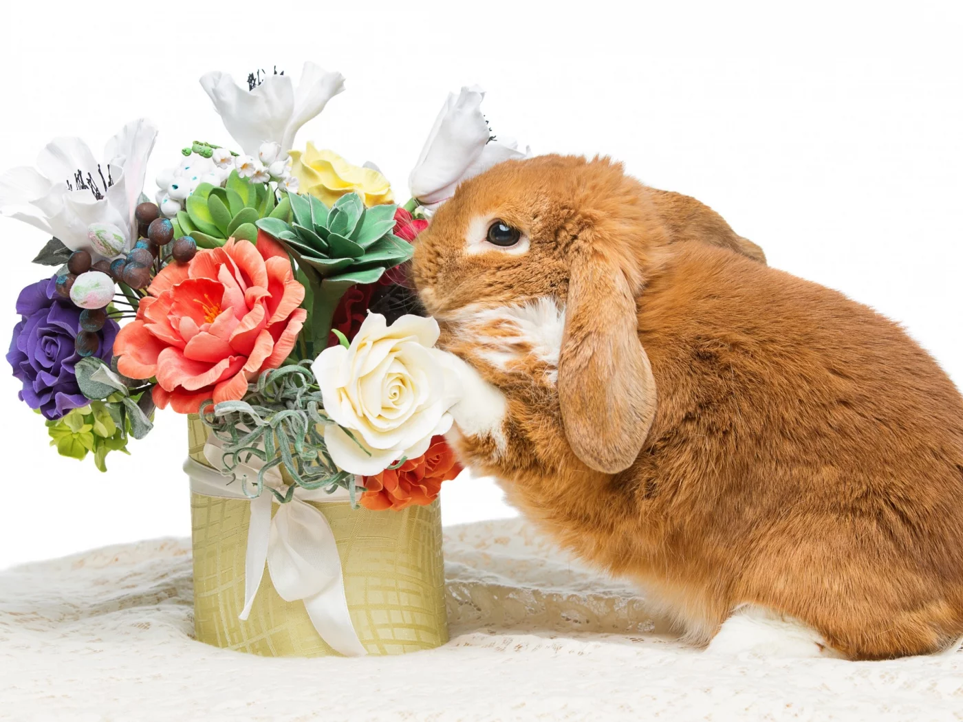 rabbit, happy, кролик, eggs, spring, flowers, цветы