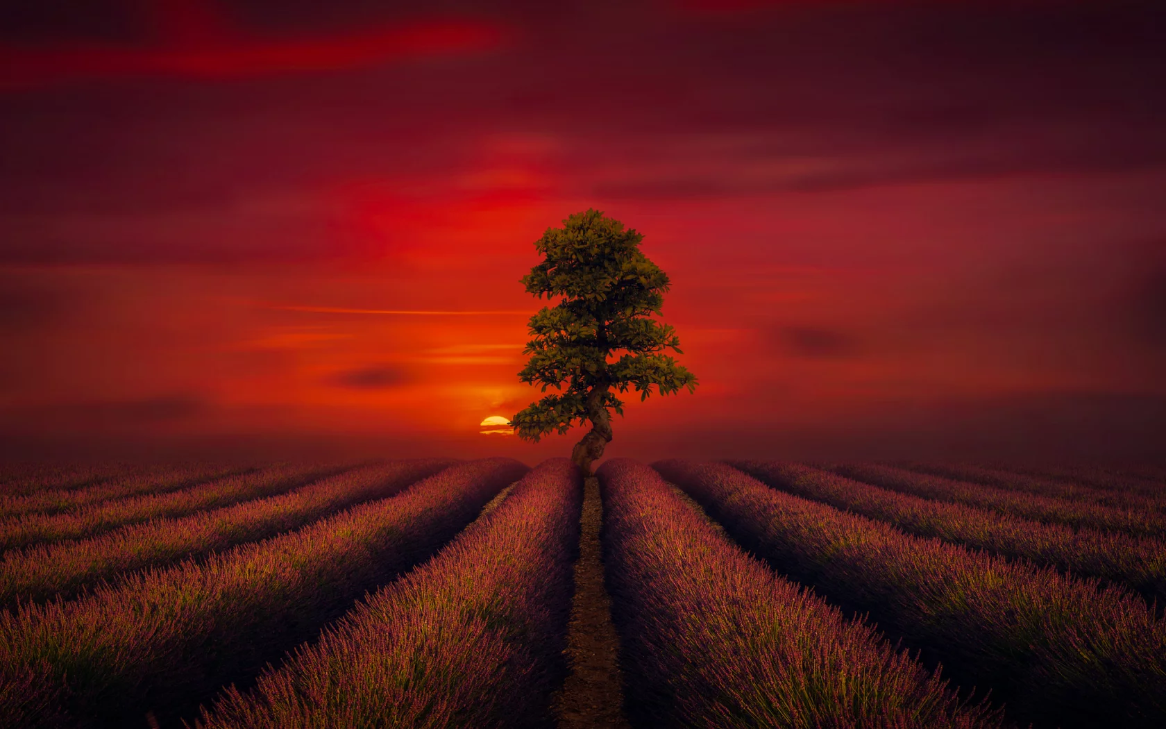 природа, красота