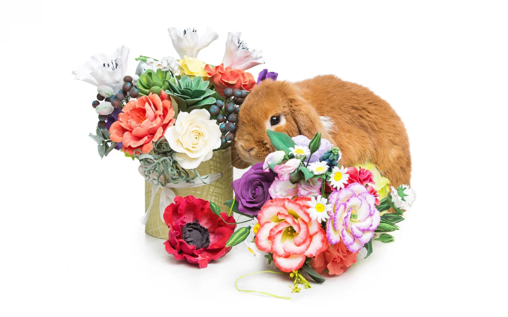 rabbit, happy, кролик, eggs, spring, flowers, цветы