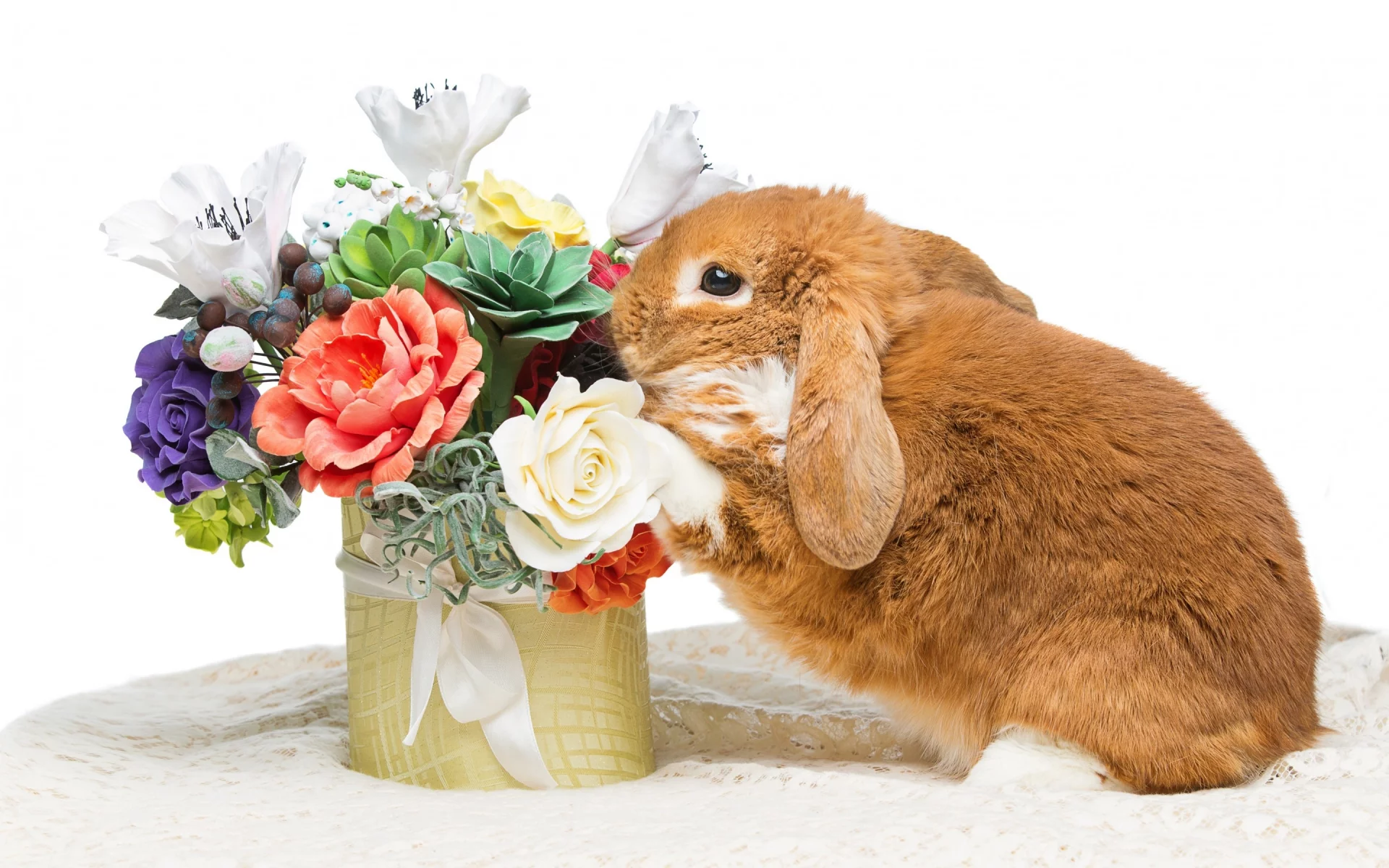 rabbit, happy, кролик, eggs, spring, flowers, цветы