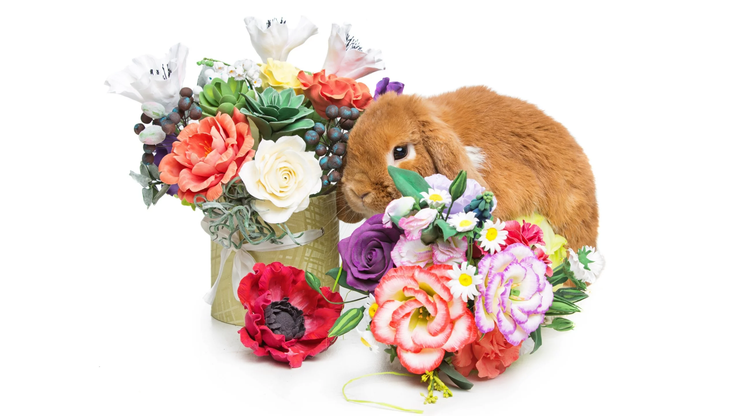rabbit, happy, кролик, eggs, spring, flowers, цветы