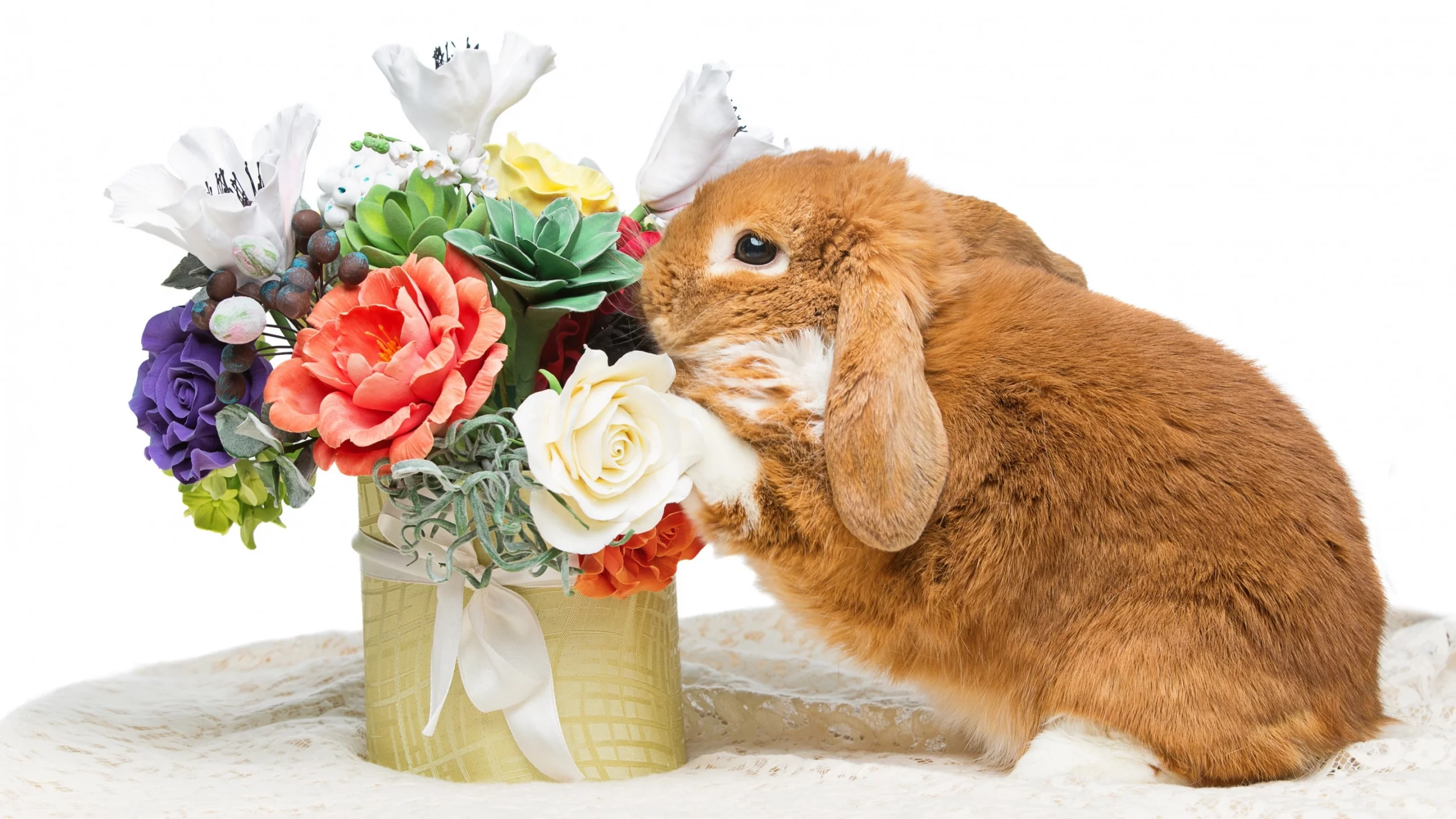 rabbit, happy, кролик, eggs, spring, flowers, цветы
